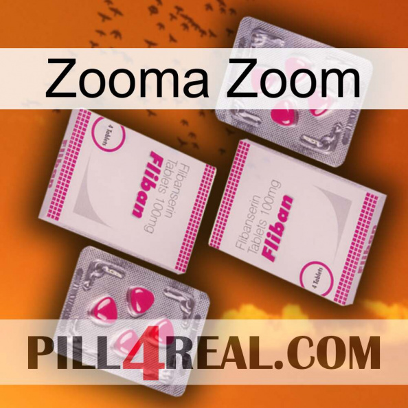 Zooma Zoom 33.jpg